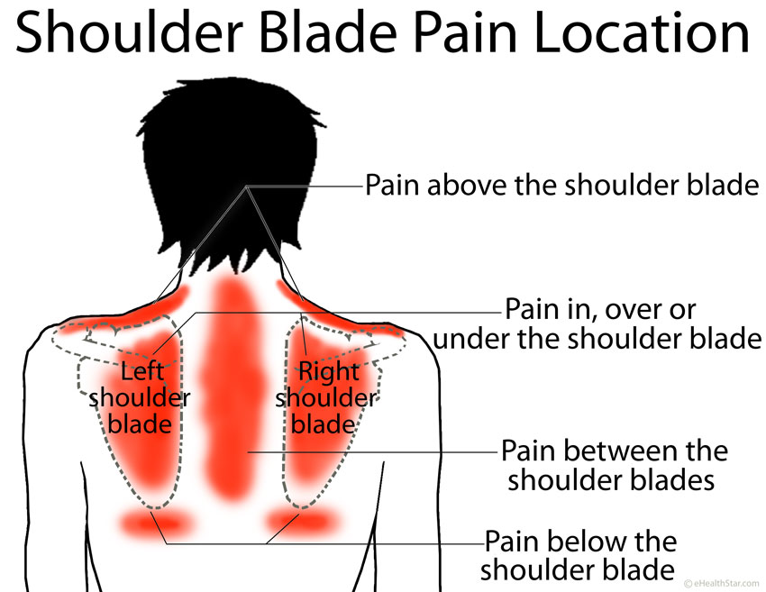 Why does your back hurt around the right shoulder blade when you take a deep breath?