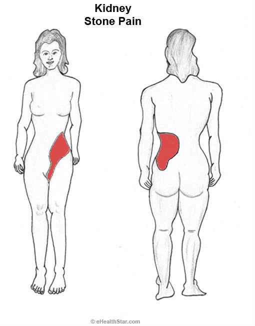 افضل شركات تجميع الشحنات عند الشراء امازون او غيره