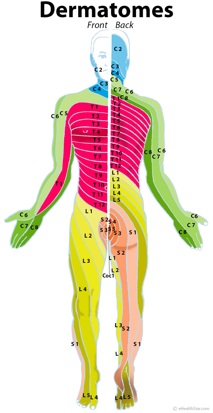 Arthritis Lumbar Spine Tingling Feet 63