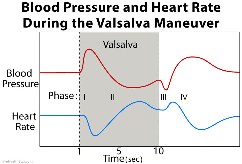 Valsalva manobra pressão arterial freqüência cardíaca